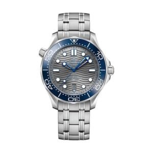 Seamaster Diver 210.30.42.20.06.001 300M Co-Axial Master Chronometer 42Mm Stainless Steel